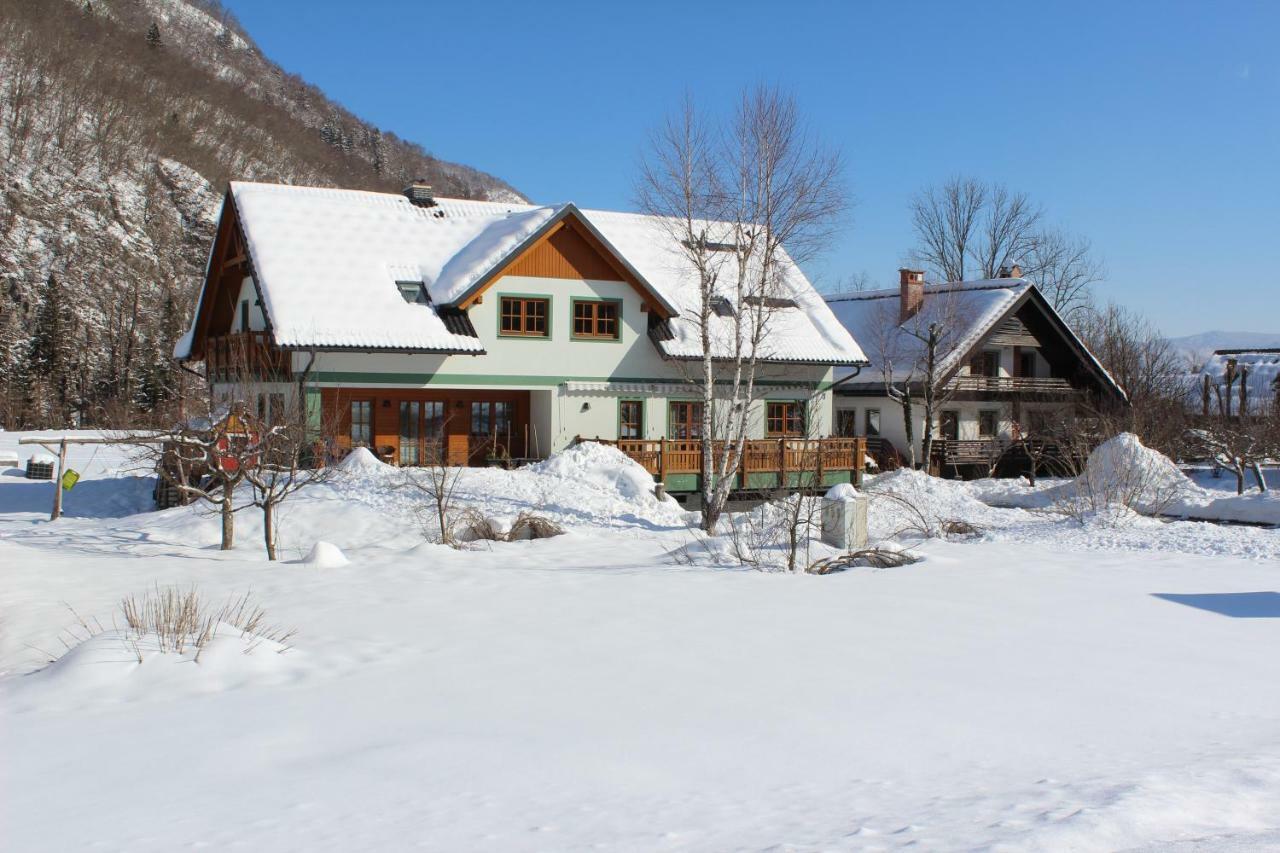 Apartments Villa Dov Bohinj Exterior photo