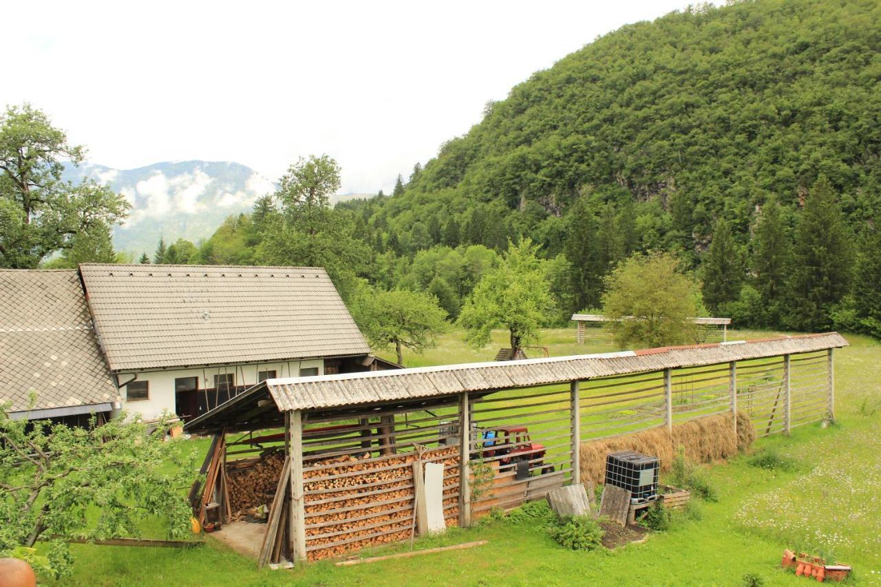 Apartments Villa Dov Bohinj Exterior photo